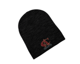 Chicago American Giants Beanie